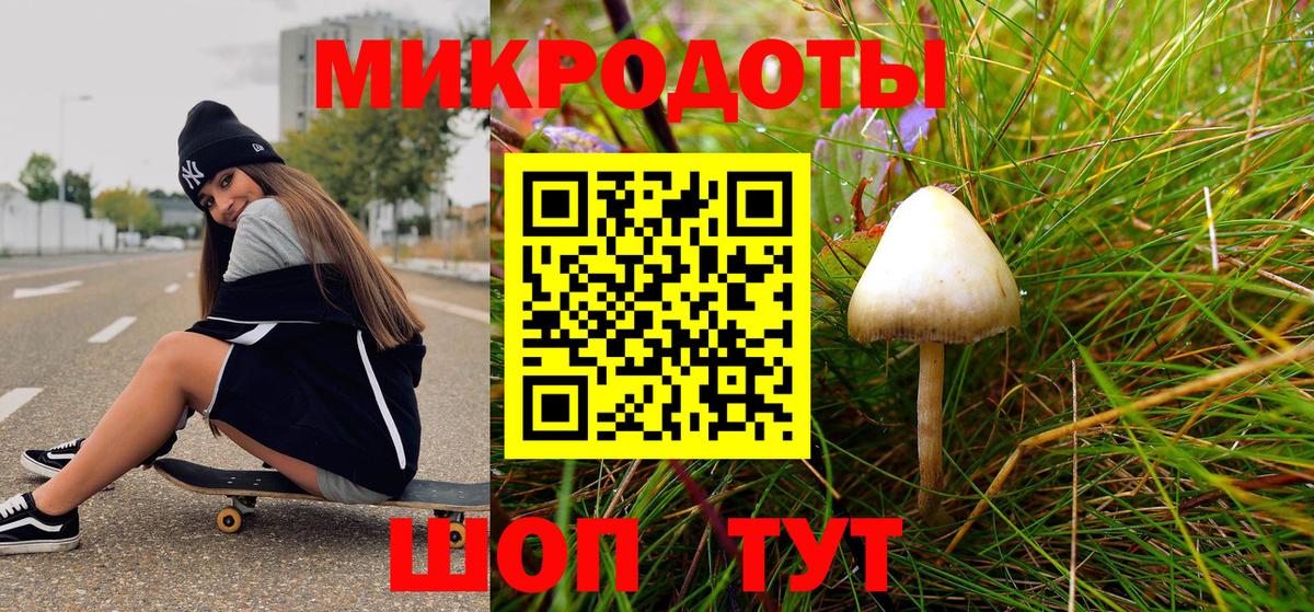 Псилоцибиновые грибы Psilocybe  Вход с VPN  Кимовск 